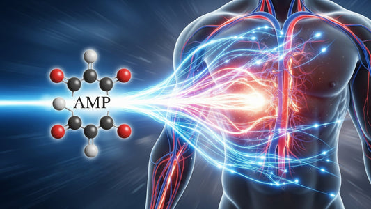 AMP5 Supplement Benefits, Uses, and Side Effects