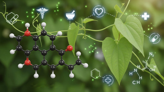 Diosgenin Supplement Benefits for Health and Fitness