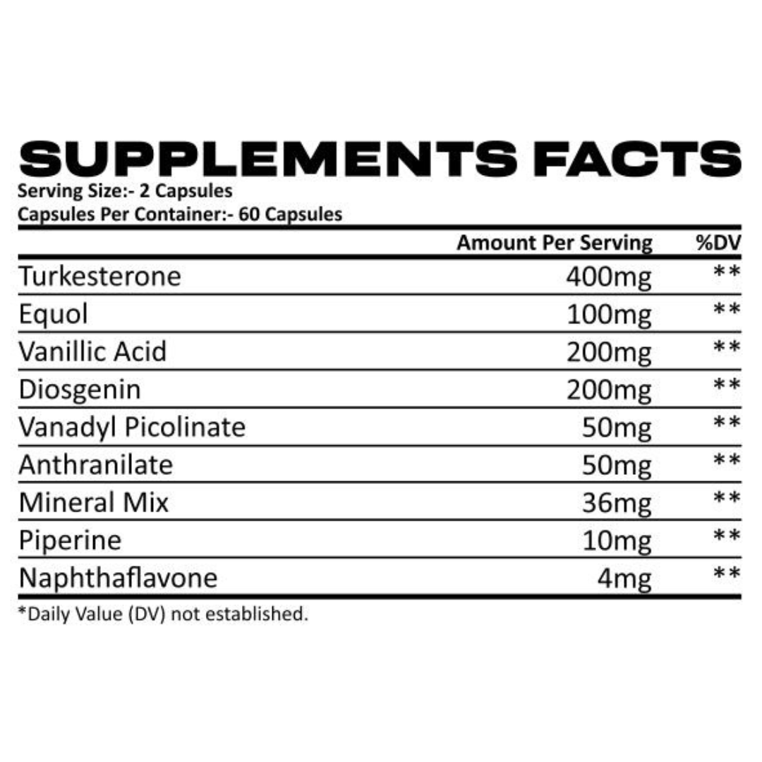 Combo - Vantage+ & Creatine Monohydrate & Revive+